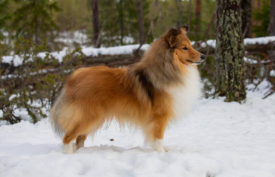 Kuva: Jessica Mäkisalo