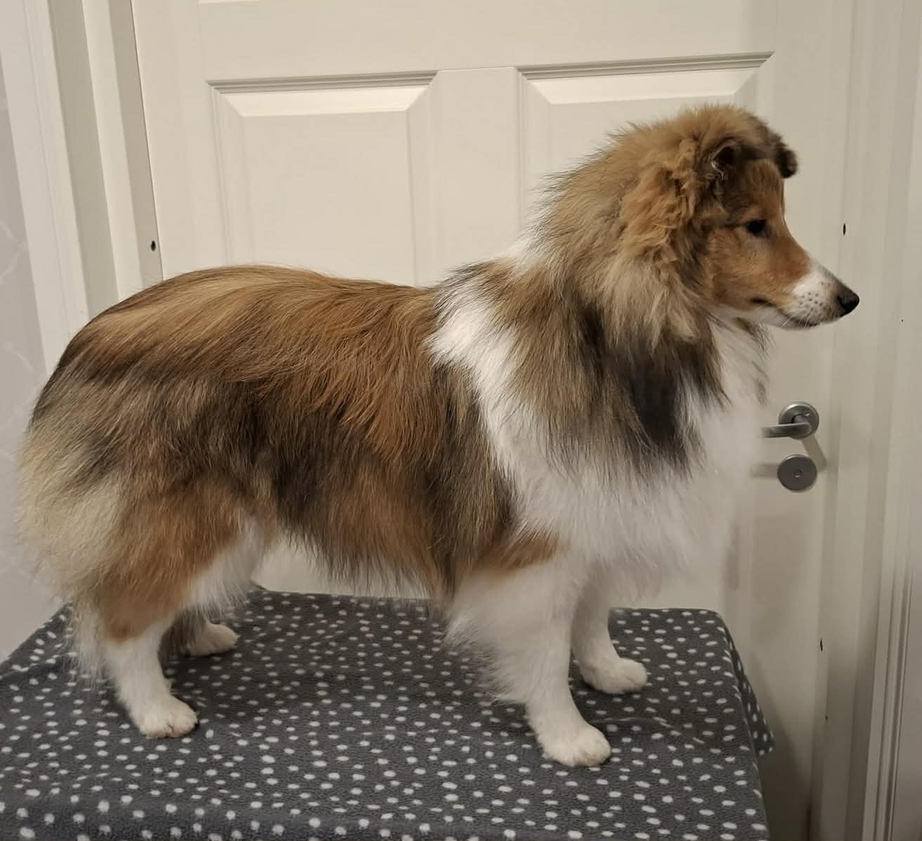 Kuva: Monica Lindström-Uuttu